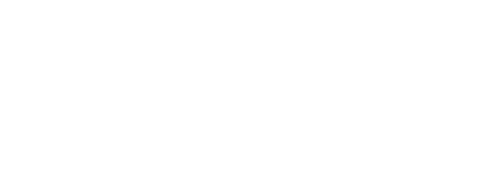 circinus worldwide logo